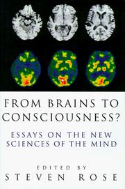 Cover of: From Brains to Consciousness? Essays on the New Sciences of the Mind