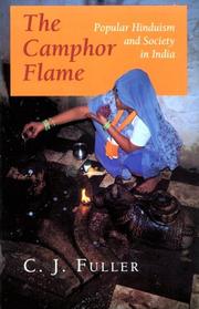Cover of: The camphor flame: popular Hinduism and society in India