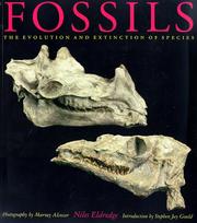 Cover of: Fossils by Niles Eldredge, Murray Alcosser, Stephen Jay Gould