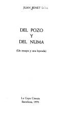 Cover of: Del pozo y del numa: (un ensayo y una leyenda)