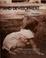 Cover of: Child growth and development
