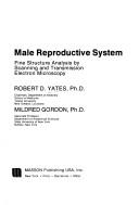 Male reproductive system by Robert D. Yates