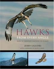 Cover of: Hawks from every angle