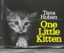 Cover of: One little kitten by Tana Hoban
