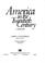 Cover of: America in the twentieth century
