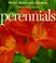 Cover of: Step-By-Step Perennials (Step-By-Step)