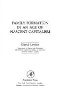 Cover of: Family formation in an age of nascent capitalism | Levine, David