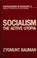 Cover of: Socialism