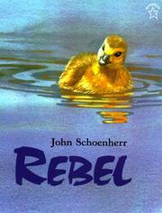 Cover of Rebel