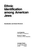 Cover of: Ethnic identification among American Jews: socialization and social structure