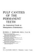 Cover of: Pulp cavities of the permanent teeth by Russell C. Wheeler