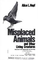 Cover of: Misplaced animals, and other living creatures