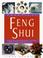 Cover of: Practical feng shui