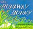 book the runaway bunny