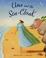 Cover of: Una and the Sea Cloak