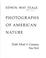 Cover of: Photographs of American nature.
