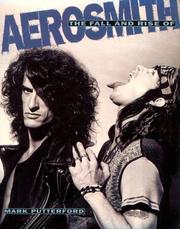 Cover of: The fall and rise of Aerosmith