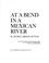 Cover of: At a bend in a Mexican river.