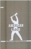 Cover of: The labor movement in a government industry. by Sterling Denhard Spero, Sterling Denhard Spero