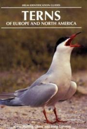Cover of: Terns (Helm Identification Guides) by Klaus Malling Olsen, Hans Larsson