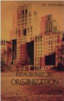 Remaking an organization by Jay Schulman