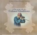 Cover of: A day in the life of a colonial glassblower