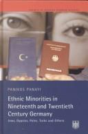 Cover of: Ethnic minorities in nineteenth and twentieth century Germany by Panikos Panayi