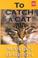 Cover of: To catch a cat