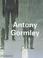 Cover of: Antony Gormley