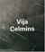 Cover of: Vija Celmins (Contemporary Artists)