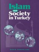 Cover of: Islam and society in Turkey by David Shankland