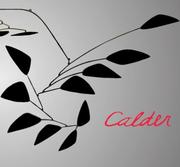 Cover of: Calder by editors, Carmen Giménez, Alexander S.C. Rower ; essay by Francisco Calvo Serraller.