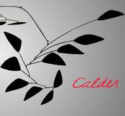 Cover of: Calder: Gravity and Grace