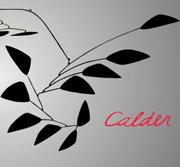 Cover of Calder