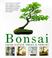 Cover of: Bonsai from Native Trees and Shrubs