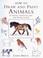 Cover of: How to Draw and Paint Animals in Pencil, Charcoal, Line and Watercolour