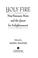 Cover of: Holy Fire