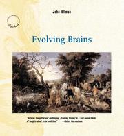 Evolving Brains by John Allman