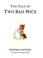 Cover of: The Tale of Two Bad Mice (The World of Beatrix Potter)