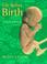 Cover of: Life Before Birth
