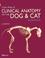 Cover of: Colour Atlas of Clinical Anatomy Dog and Cat