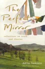 Cover of: The Perfect Mirror by Adrian Feldmann