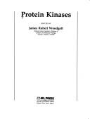 Protein Kinases (Frontiers in Molecular Biology) by James Robert Woodgett