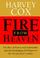 Cover of: Fire from heaven