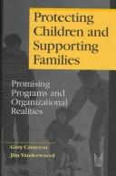 Cover of: Protecting Children and Supporting Families: Promising Programs and Organizational Realities (Modern Applications of Social Work)