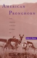 Cover of: American Pronghorn by John A. Byers