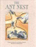 Cover of: The ant nest | Stephen Ray