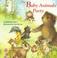 Cover of: The baby animals' party