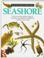 Cover of: SEASHORE-EYEWITNESS B (Eyewitness Books)