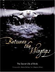 Cover of: Between the Wingtips: The Secret Life of Birds